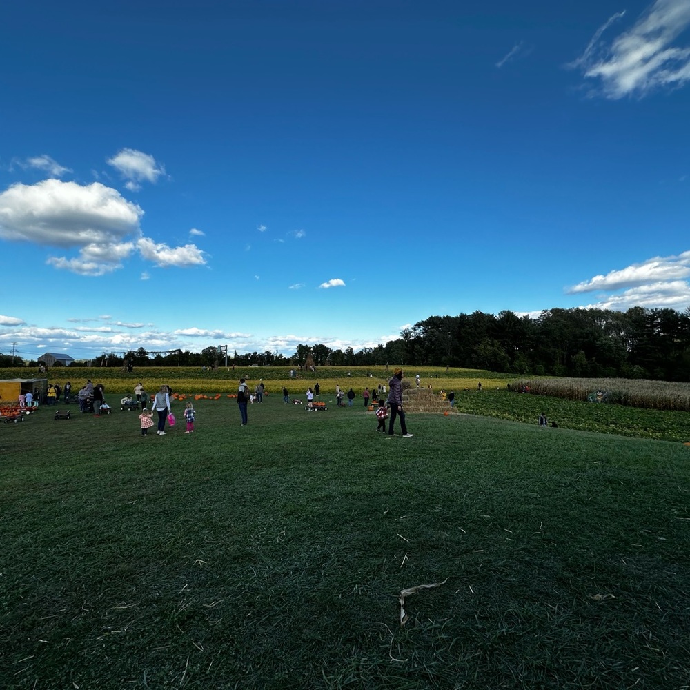 Meet your Posher, Melissa